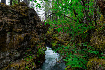 Oregon State Parks trails landscape river rocky whitewater hiking scenic