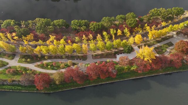 Osaka Castle, Chuo Ward, Osaka, Japan: 4K Aerial Drone Footage of Osaka Castle Park, Moat, Autumn Foliage, Historic Landmark, Japanese Architecture, City Skyline, Urban Landscape, O and Neya River