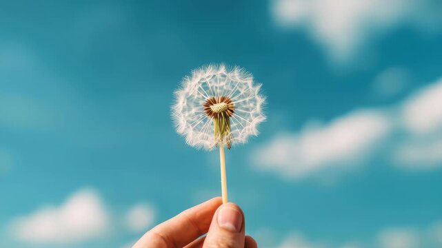Dandelion Wish and Sky: A person holds a delicate dandelion against a backdrop of a brilliant sky. The scene is imbued with a sense of hope, freedom and wishes. 