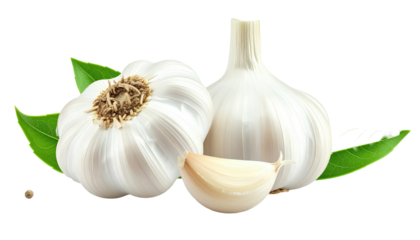 Two whole garlic bulbs and a clove are arranged with bay leaves on a black backdrop