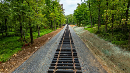 Fototapeta premium Workers are laying down new railway tracks in a dense forested landscape. The scene captures a tranquil moment with lush greenery on either side of the gravel path.