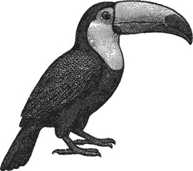 Naklejka premium Halftone Toucan Illustration in Black and White