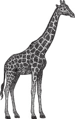 Naklejka premium Halftone Giraffe Illustration in Black and White