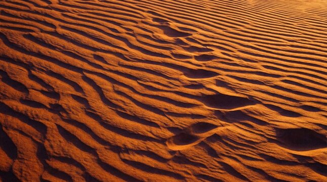 Rippling desert sand patterns glow with warm golden light and deep shadows
