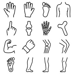 Obraz premium Human Body Icons: A comprehensive array of human body part icons are meticulously illustrated in a clean, minimalist style.