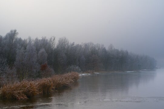 misty morning on the lake