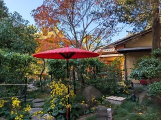 聚楽園、嚶鳴庵の庭