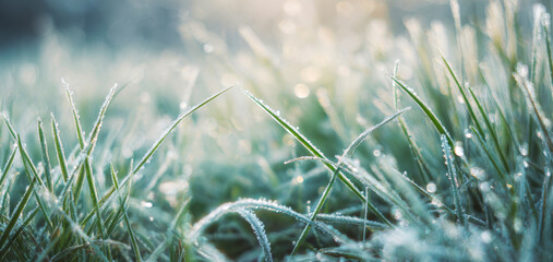 Close-up of frosty grass blades covered with ice crystals on a cold winter morning. Soft sunlight creates a bright, dreamy bokeh and a fresh natural atmosphere. 