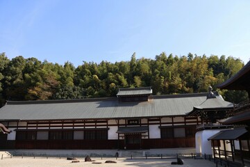 宇宙山乾坤院、枯山水の庭