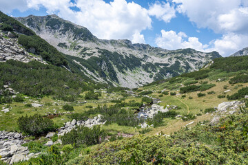 Naklejka premium Pirin Mountain near Banderitsa Area, Bulgaria