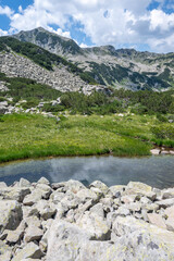 Pirin Mountain near Banderitsa Area, Bulgaria
