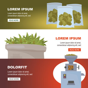growing cannabis. Hemp Drug, marihuana cultivation concept, smoke and consumption weed. vector cartoon horizontal banner.