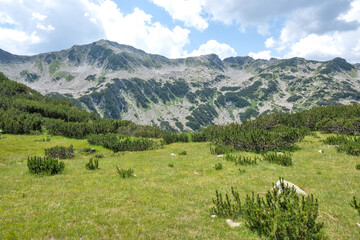 Naklejka premium Pirin Mountain near Banderitsa Area, Bulgaria