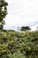 Fototapeta premium lighthouse in forest