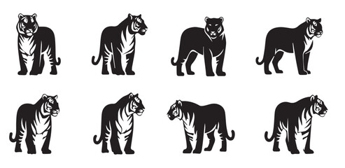 Powerful Tiger Vector Set: Wild Big Cat Mascot Collection in Various Standing and Prowling Poses - Detailed Icon Pack for Logo, Esport, Tattoo, and T-shirt Design