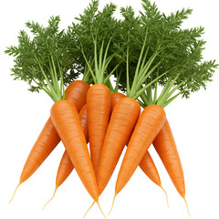 Fresh carrots with green tops, arranged in a group on a white background.