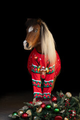 Christmas Horse Mini Miniature ugly sweater