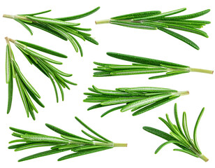 Many fresh green rosemary sprigs isolated on a dark background