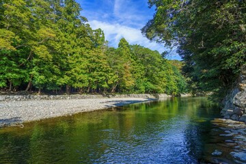 青空バックに見る清らかな清流五十鈴川の情景