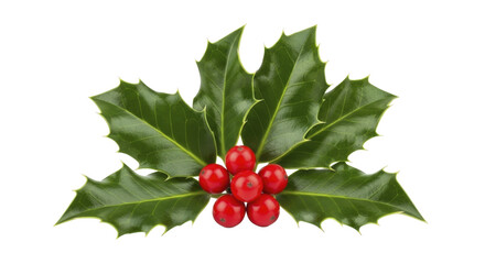Vibrant Green Holly Leaves with Bright Red Berries on a Transparent Background PNG Image