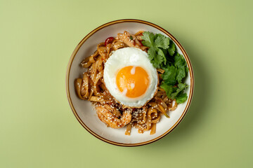 A vibrant bowl features stir-fried noodles with tender chicken pieces, a perfectly cooked sunny-side-up egg, and fresh cilantro. The dish is served on a soft green background, enhancing its appeal