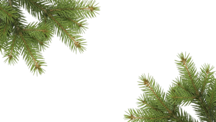 Christmas evergreen spruce branches forming festive corner decorations on a transparent background, PNG image, PNG file