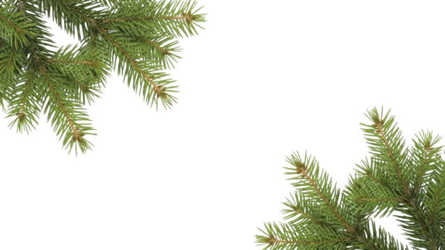 Christmas evergreen spruce branches forming festive corner decorations on a transparent background, PNG image, PNG file