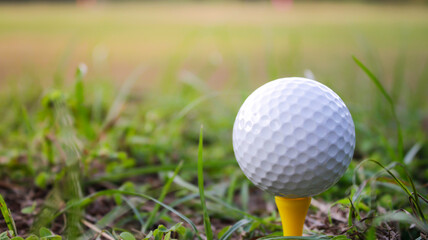Close-Up of Golf Ball on Tee Surrounded by Green Grass Outdoors