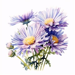 Elegant floral display of periwinkle daisy flowers in watercolor style