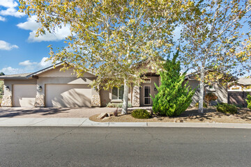Landscape Front Yard With Driveway, Scenic Street Scene Showcasing Backyard And Driveway Aesthetics