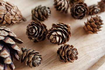 pine cones natural christmas decor rustic winter background