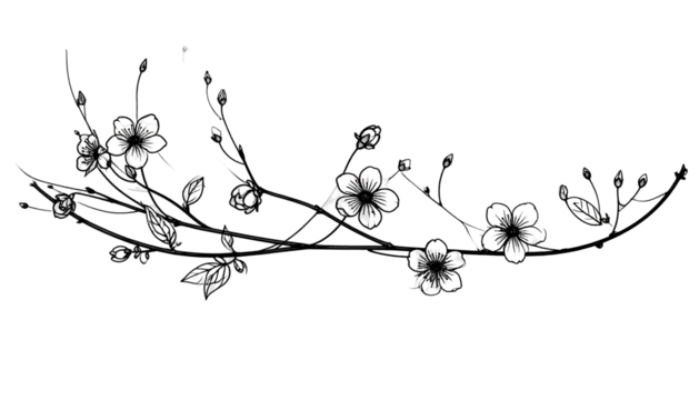 Delicate Hand Drawn Floral Branches in Black and White - Powered by Adobe
