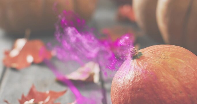 Sitting orange pumpkin catching warm light on wooden table at farm stall, purple mist, copy space