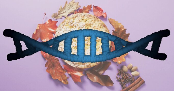 Naklejki Displaying blue DNA helix overlaying rice cake on pastel purple surface, with spices and leaves