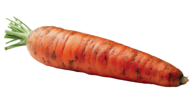 Fresh organic carrot with soil remains isolated on transparent background for healthy food and natural produce concept