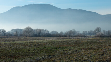 Rural winter misty European sunrise landscape with frosty trees, field and mountains