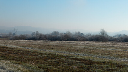 Fototapeta premium Rural winter misty European sunrise landscape with frosty trees, field and mountains