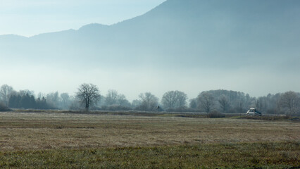 Rural winter misty European sunrise landscape with frosty trees, field and mountains