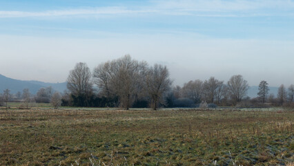 Rural winter misty European sunrise landscape with frosty trees, field and mountains