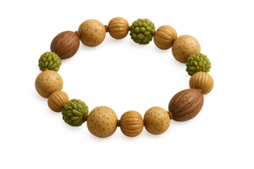 Exotic natural seed pod and nut garland with transparent background