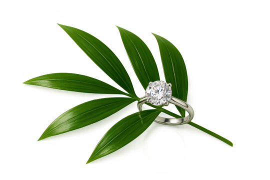 Stunning diamond solitaire engagement ring on green leaves, cut-out subject