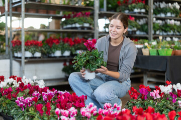 Indoor and outdoor design using plants, growing flowers as hobby, vegetation in interior solutions. Girl works as auxiliary worker in plant store warehouse, review cyclamen .. . © JackF
