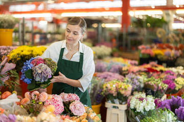 Florist creates bouquet of Phlox in a flower shop