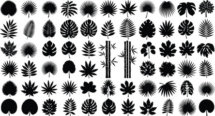 Tropical leaf silhouette set, black and white vector, botanical foliage icons, palm, monstera, bamboo, nature design, plant art