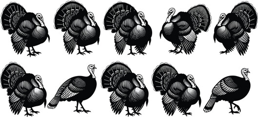 Turkey silhouette vector set, black and white birds, Thanksgiving icon, wildlife illustration, feather detail, farm animal graphic, stock art © farzana
