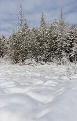 First big snowfall in November in Muskoka