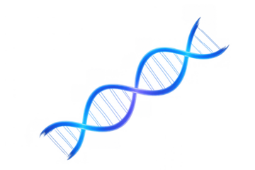 Dna helix structure showing gene research, genetics, biology, science, medical innovation, and genome sequencing on transparent background