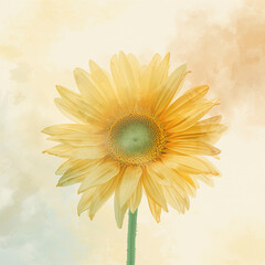 Fototapeta premium Botanical sunflower illustration with soft background