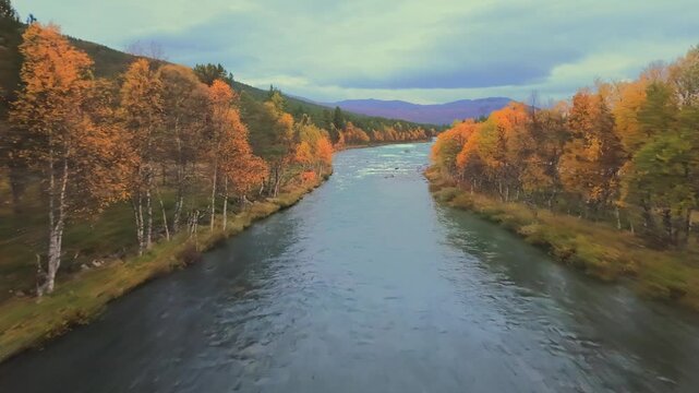Jotunheimen National Park Aerial &ndash; Autumn Forest and Mountain River