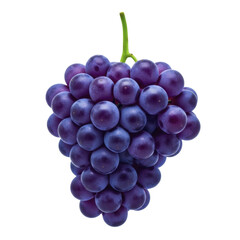 Fototapeta premium Lush ripe purple grape cluster with green stem on a transparent background PNG image ready for culinary and healthy applications